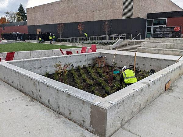 a concrete planter in a concrete pad